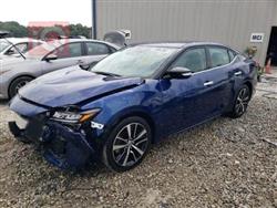 نيسان ماكسيما